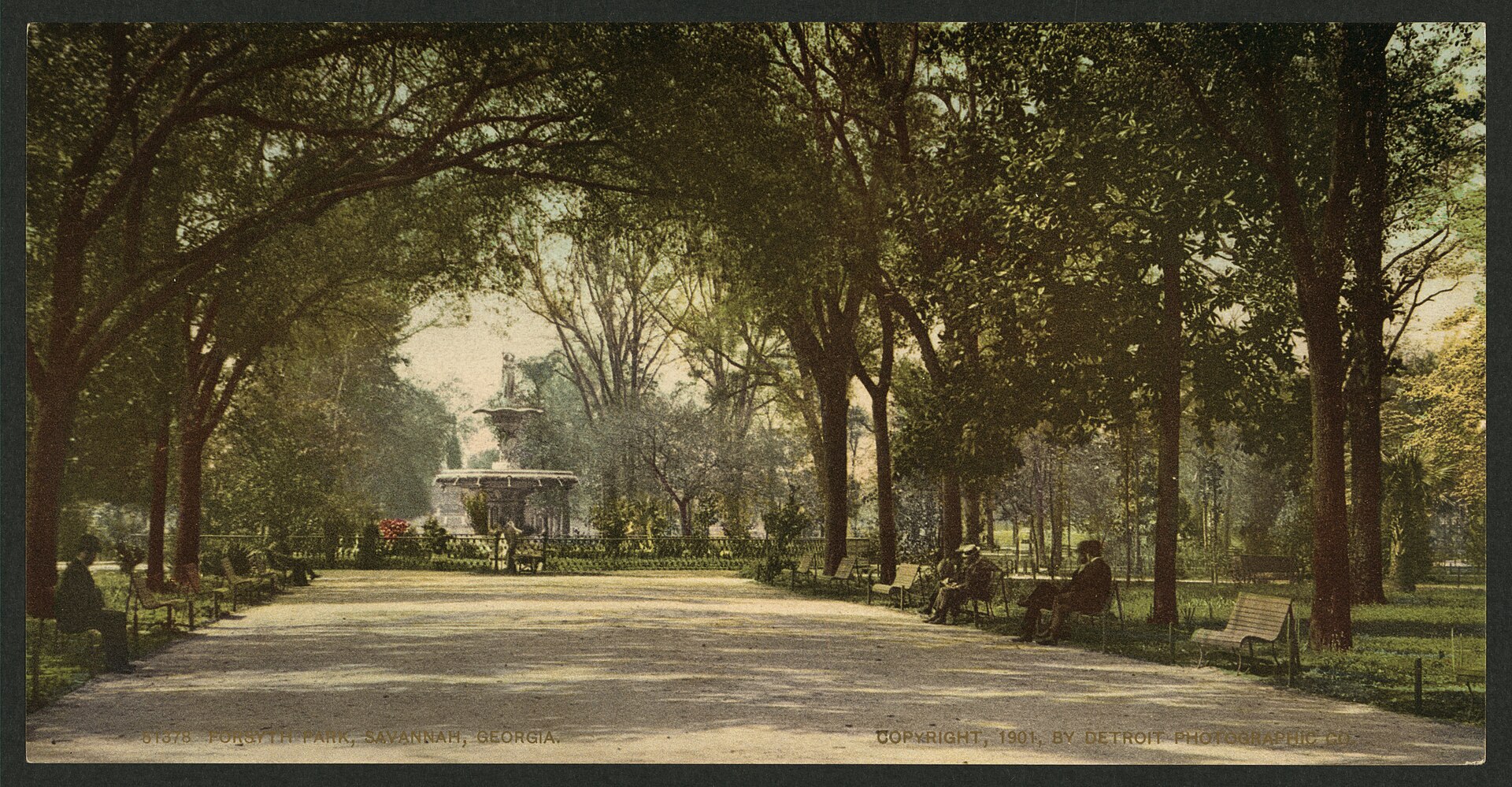 Savannah skyline